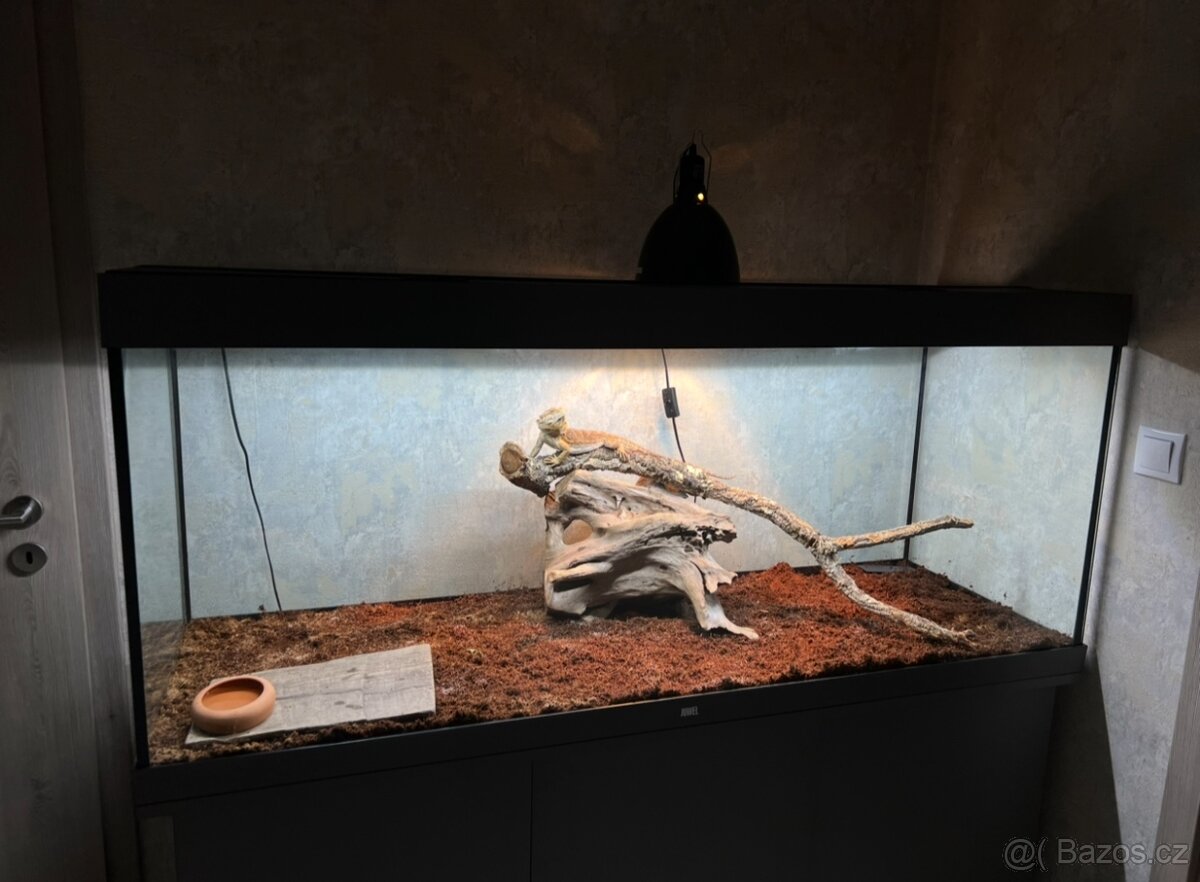 Akvárium Juwell Rio 450 LED - 2