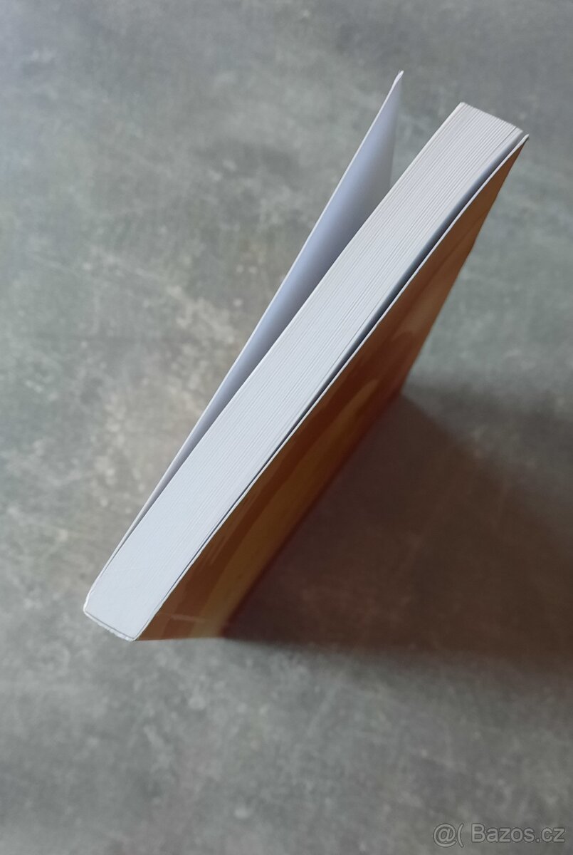 Mooji - Dech absolutna - Rozhovory s Moojim - 2