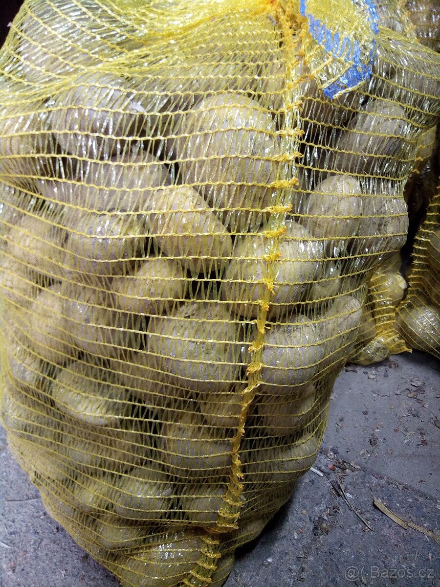 Přebytek ČESKÝCH BRAMBOR 6kč/kg - 2