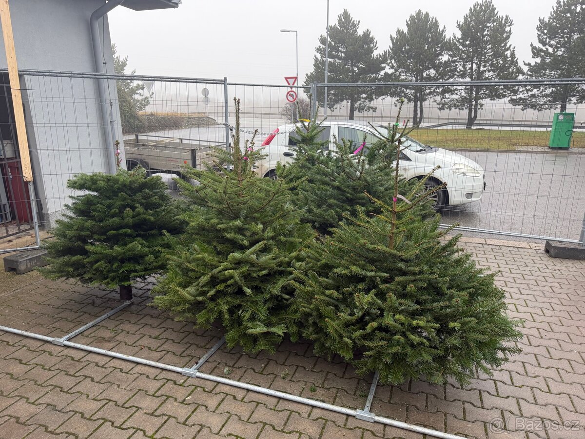 Vánoční stromky - 2