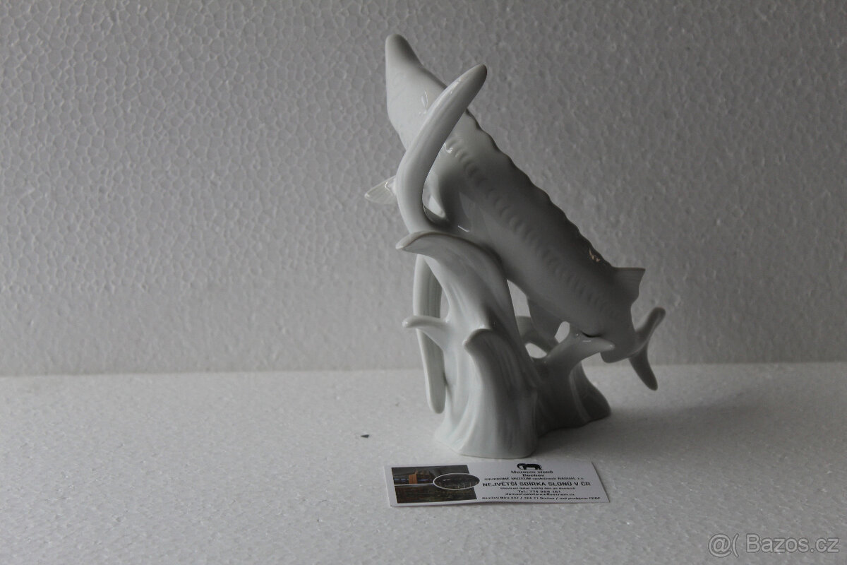 Jeseter Royal Dux - 2