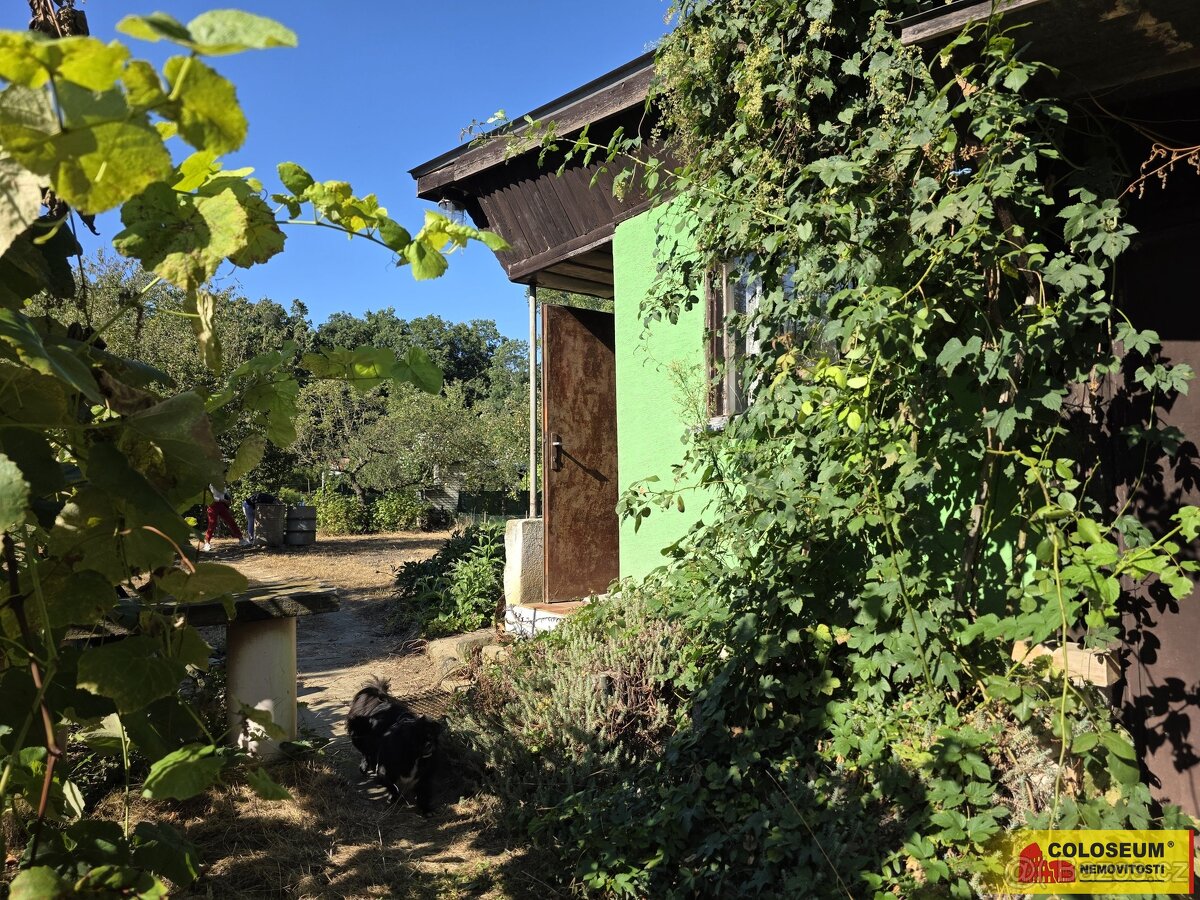 Veselí nad Moravou, studna, sklep, zahrada - chata - 2