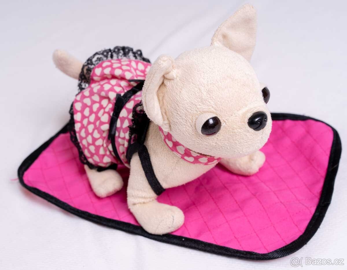 Pes v nosící tašce - 2