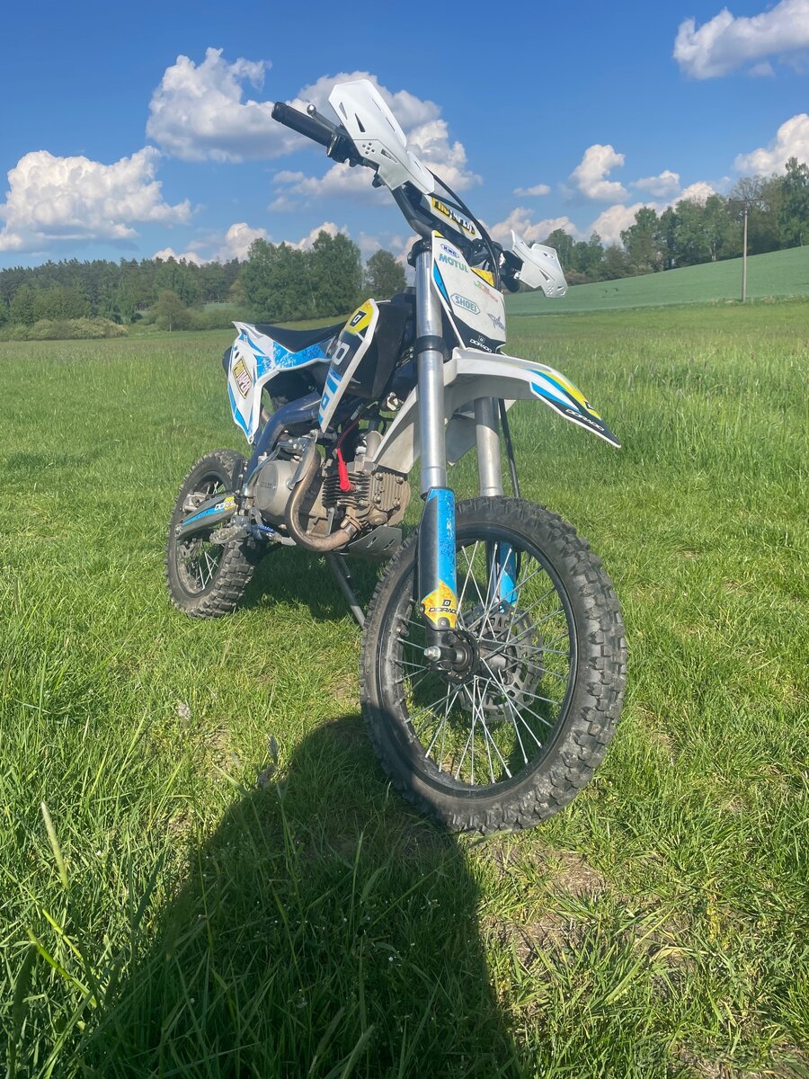 Pitbike Dorado DT125