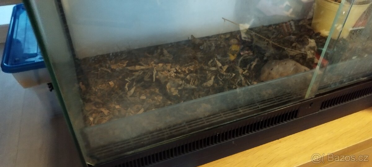 Prodám terárium 90x45x60 - 2