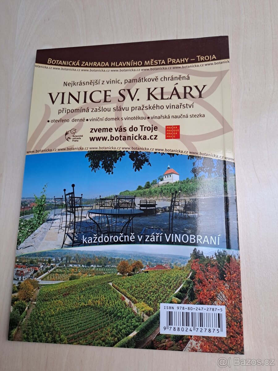 Pěstujeme stolní odrůdy révy vinné - Pavloušek - 2