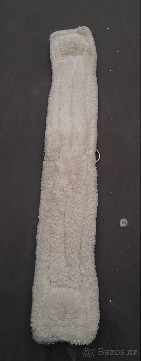 Western podbřišník kentaur - 2