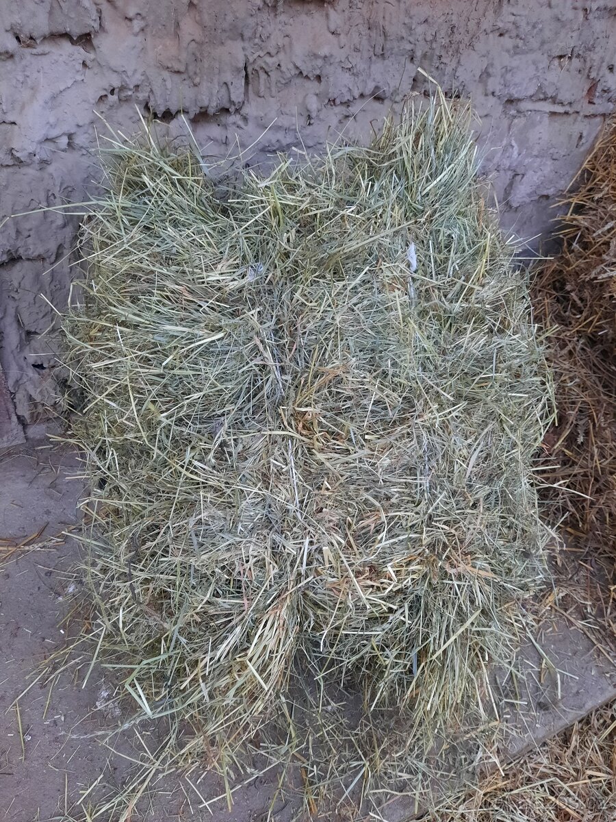 Seno malé balíky - 2