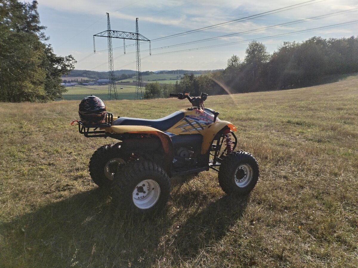 Polaris Trial Blazer 250 2t