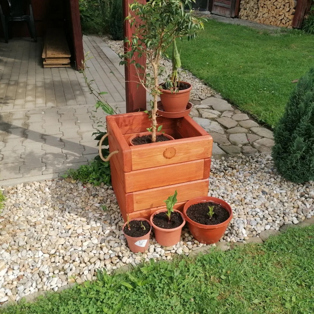 10%-SLEVA Modřínový masivní vyvýšený záhon-květináč - 2