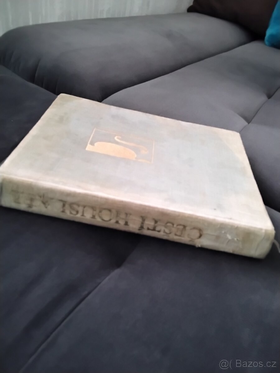 Kniha : Čeští houslaři - 2