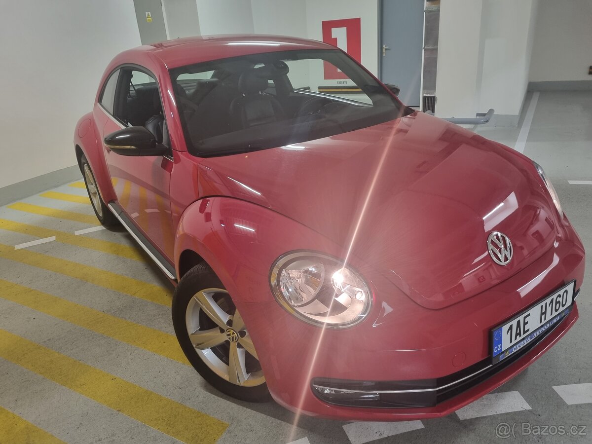 New beetle - 2