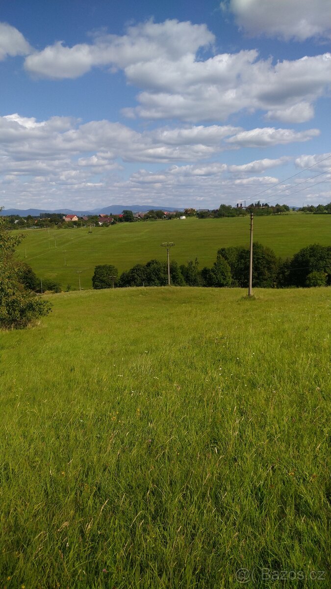 Domácí vejce - 2