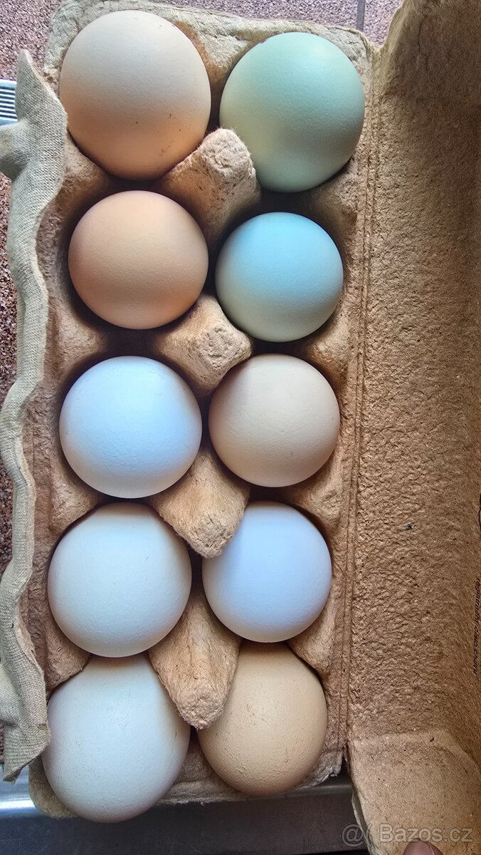 Domácí vajíčka - 2