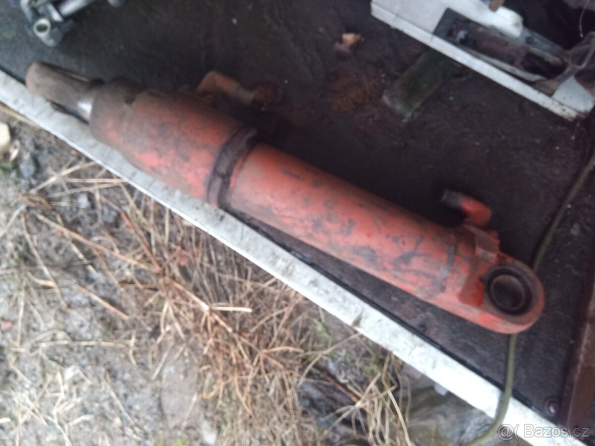 Bělorus pístnice - 2