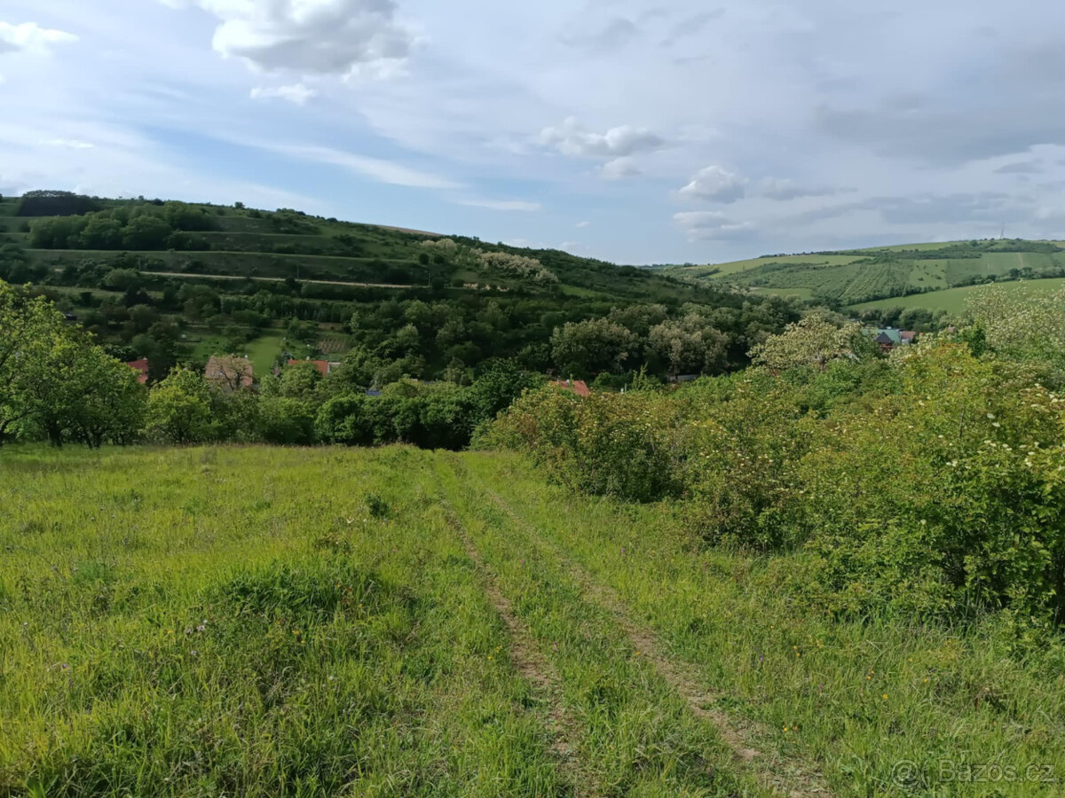 Kurdějov, 770 m2 - 2