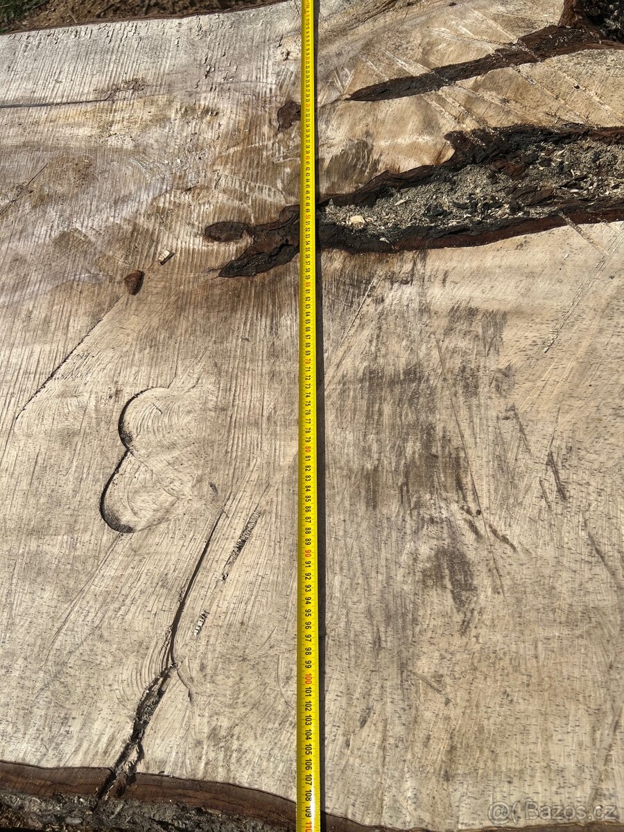 Kmen kaštan dřevo - 2