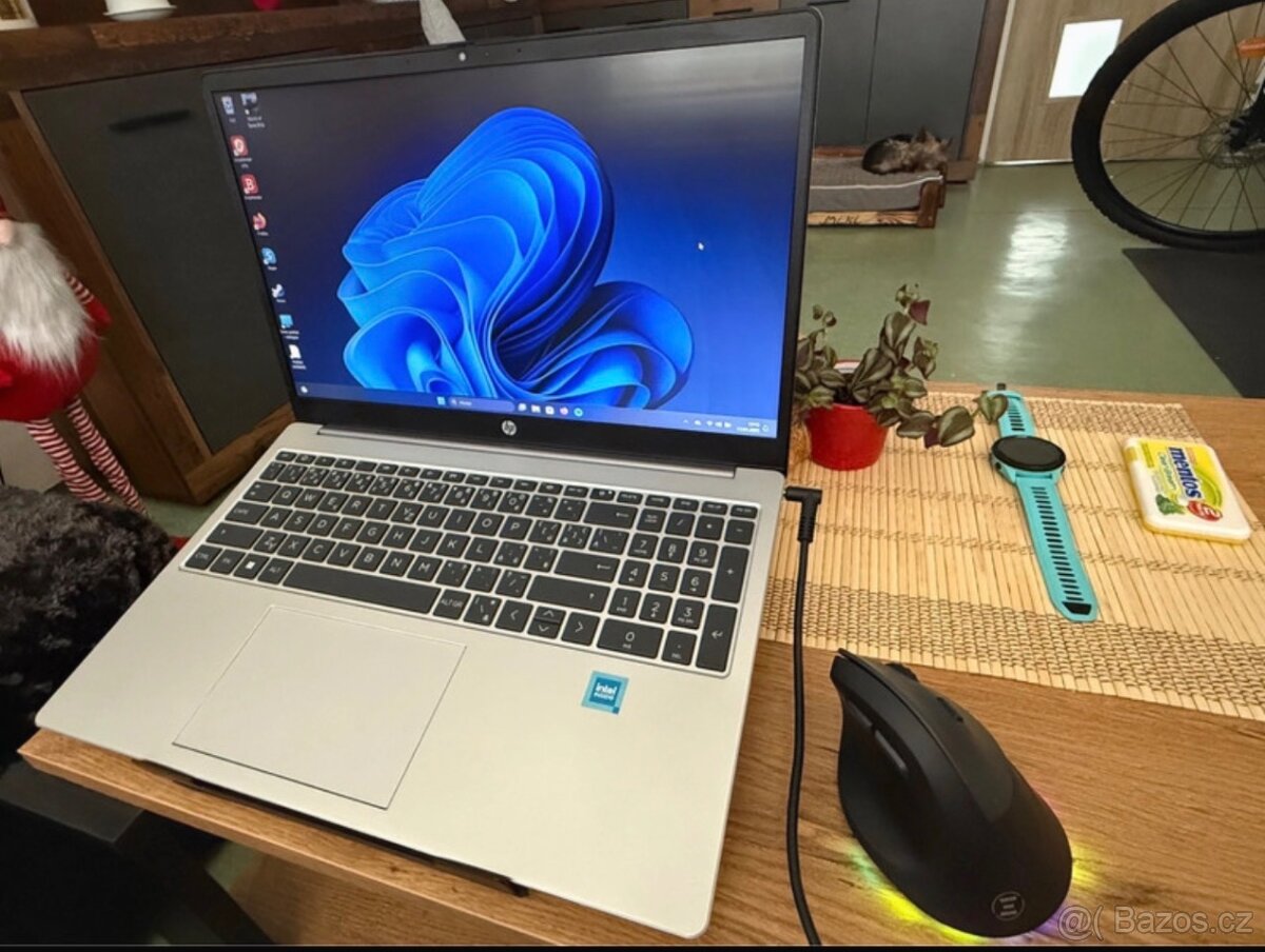 HP 250 G10 Silver - 2