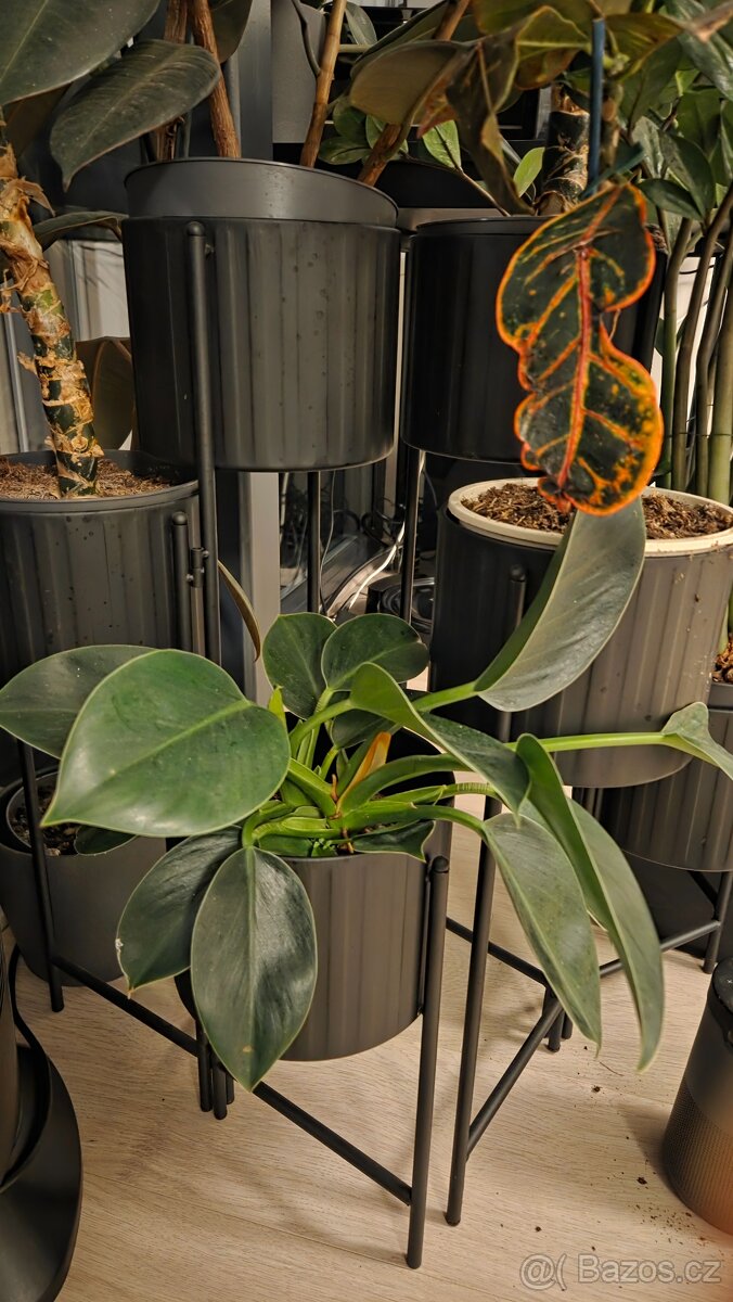 Stojan na kytky Viko - 2