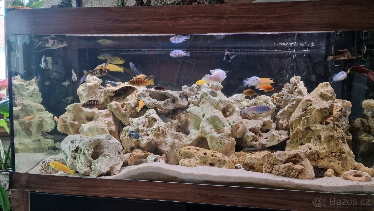 Plně vybavené akvárium - 2