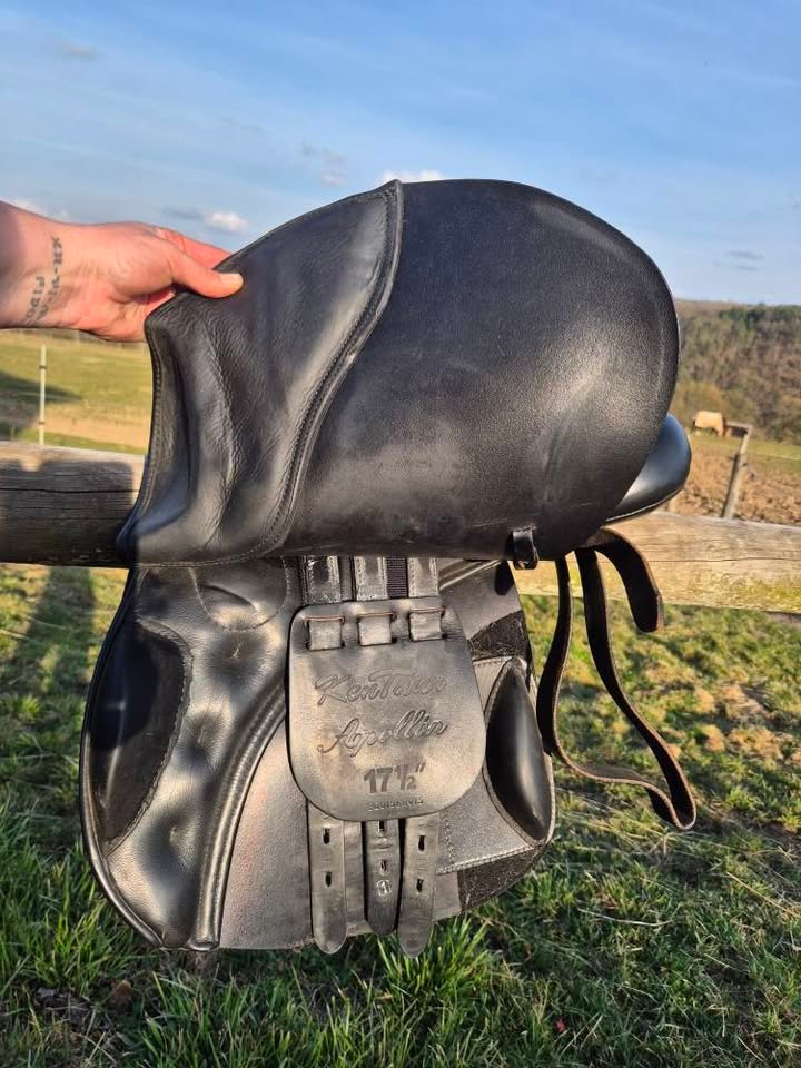 Kentaur Appolón - 2