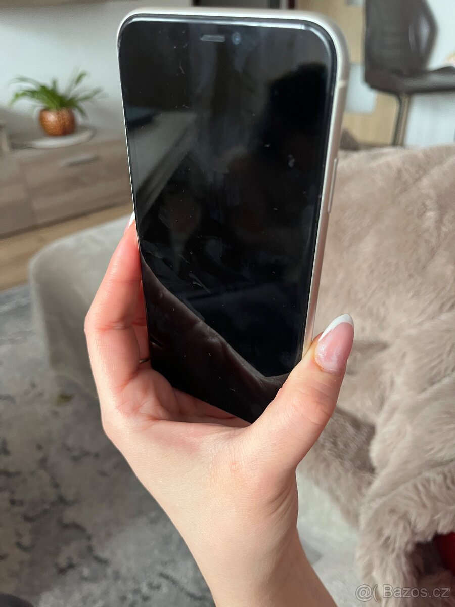 Apple 11 - 2