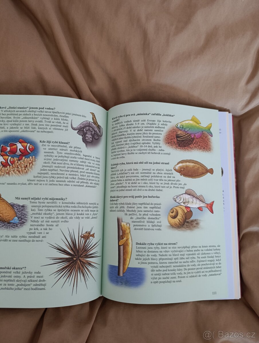 Dětská encyklopedie - 2