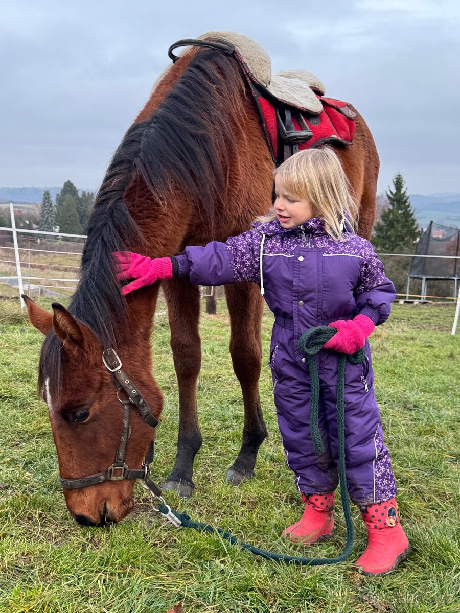 Hodný hřebeček - 2