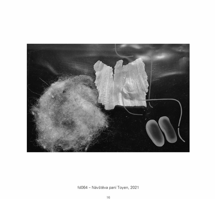 JIŘÍ FOLTÝN: FOTOGRAFIE II - 2