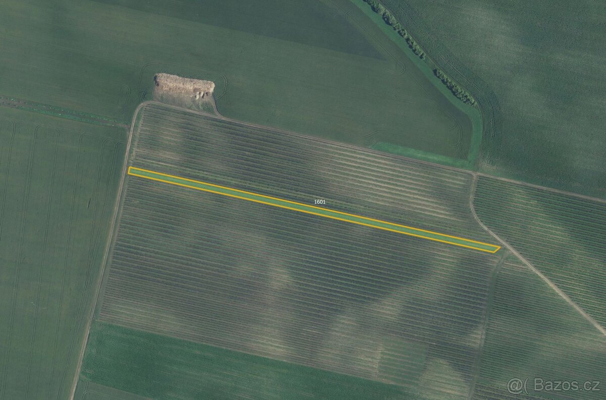 Sady, vinice, prodej, Terezín, Hodonín - 2