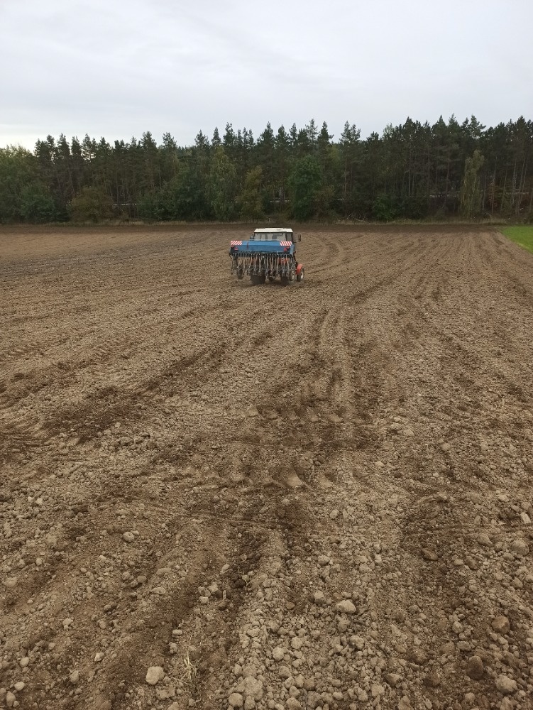 Roudnická sečka - 2