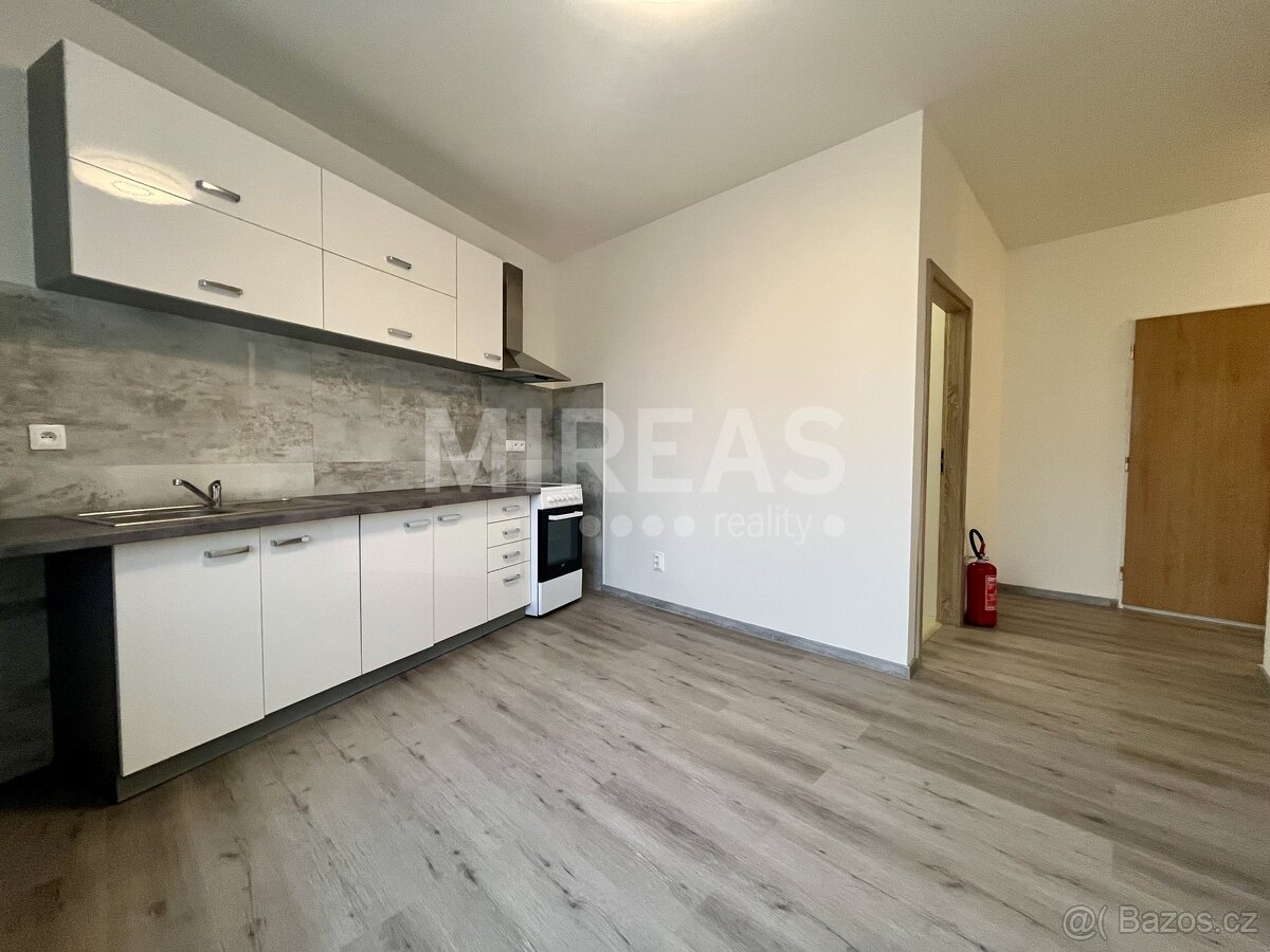 Benátky nad Jizerou, pronájem podkrovního bytu 2+1, 58 m2, o - 2