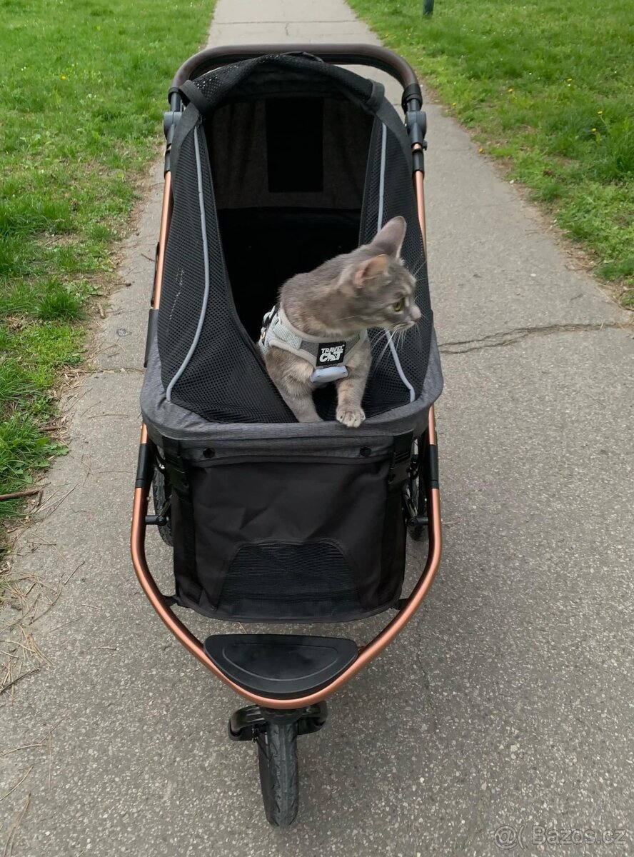 Kočárek pro kočku do 23Kg PetBuggy - 2