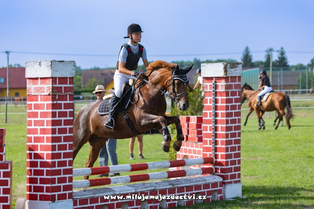 Prodej pony klisny - 2