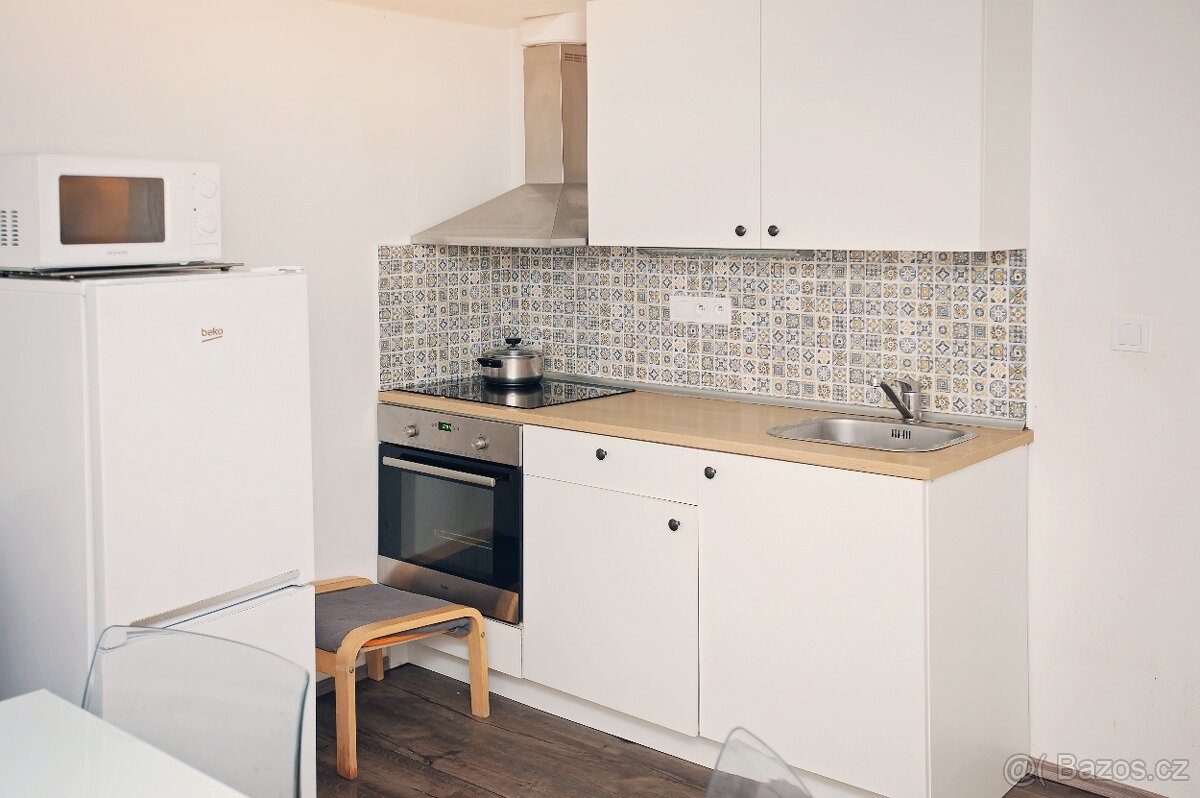 Komerční prostor 45m2 se zahrádkou, Brno-Královo Pole - 2