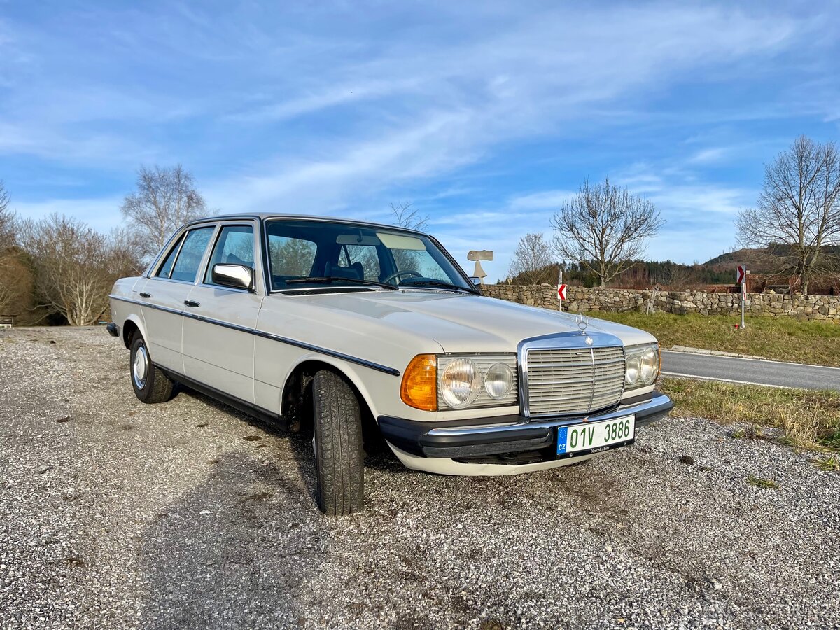 Mercedes benz w123 250 - 2