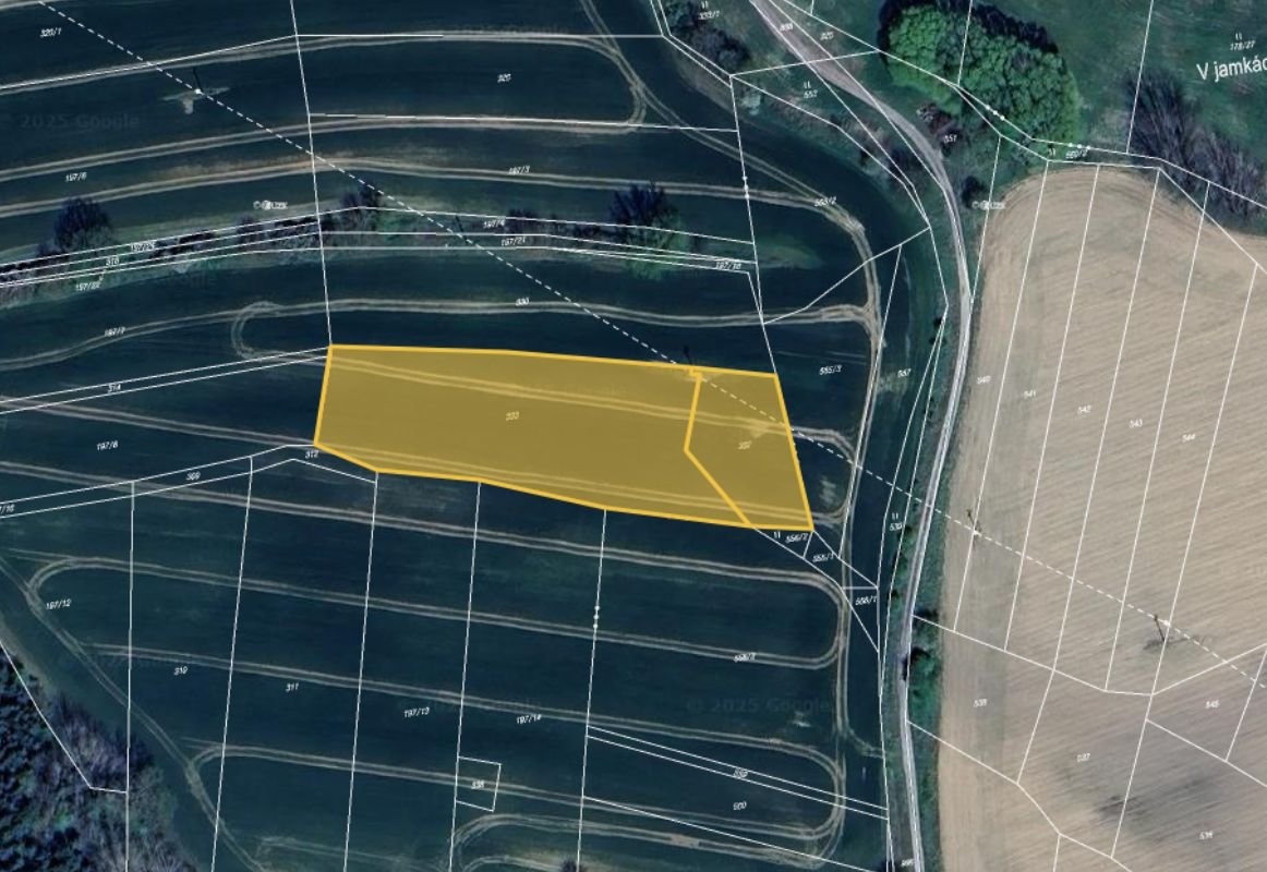 Prodej pole v k.ú. Třebčice a Tojice - 2