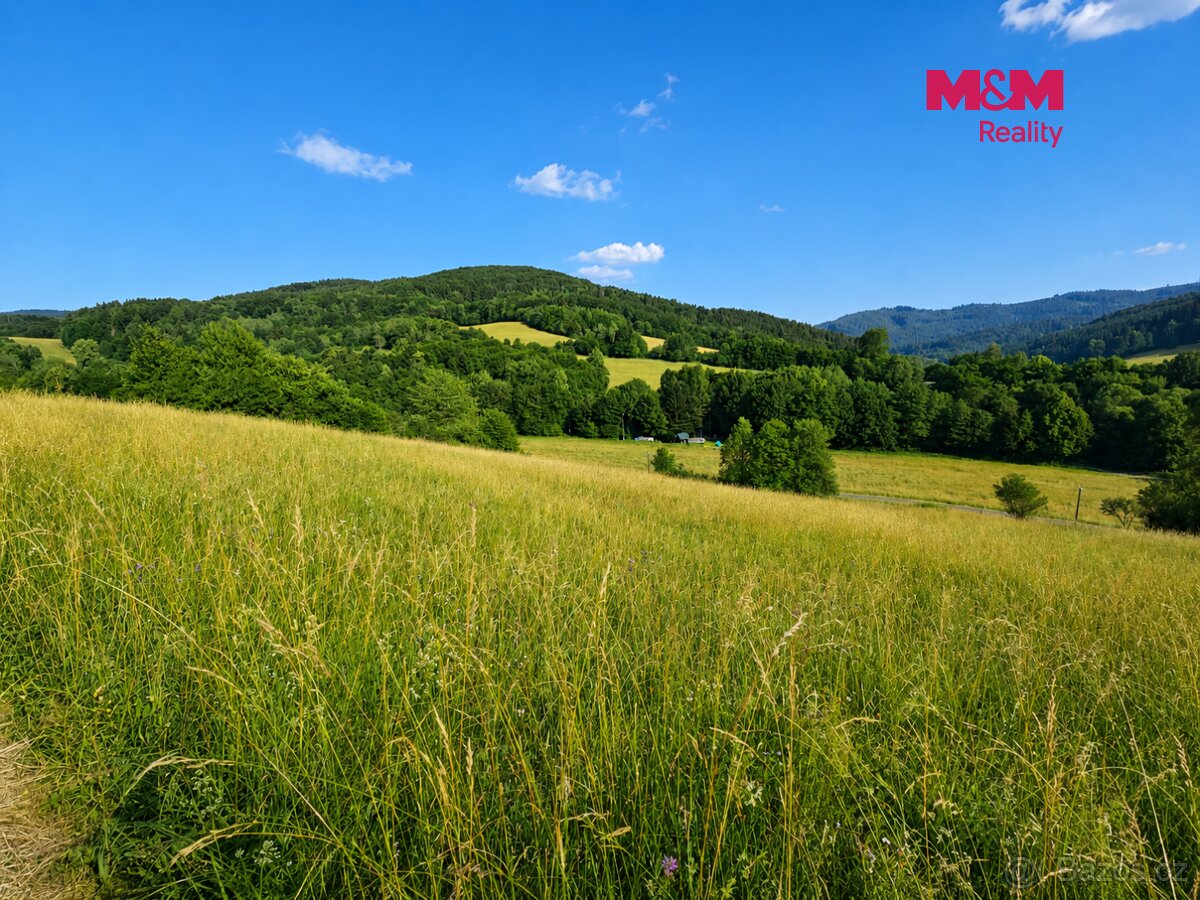 Prodej louky, 4215 m², Lužná – pohled 2