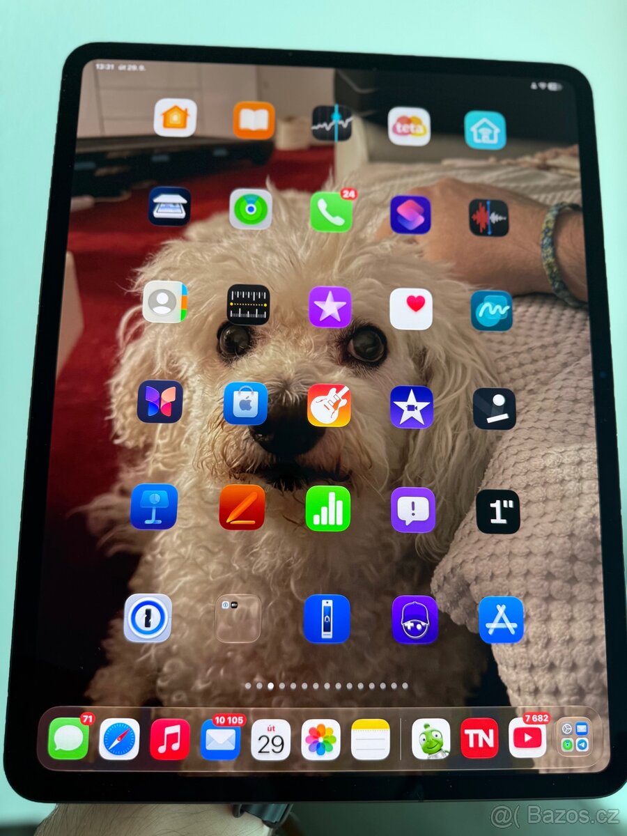 iPad Pro M5 13 Cellular 256GB 2025 - 2