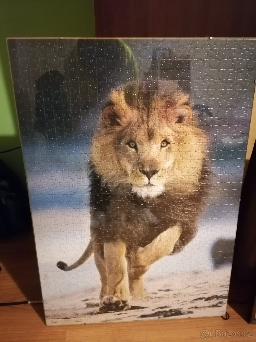 Obrázy vlk a lev - 2
