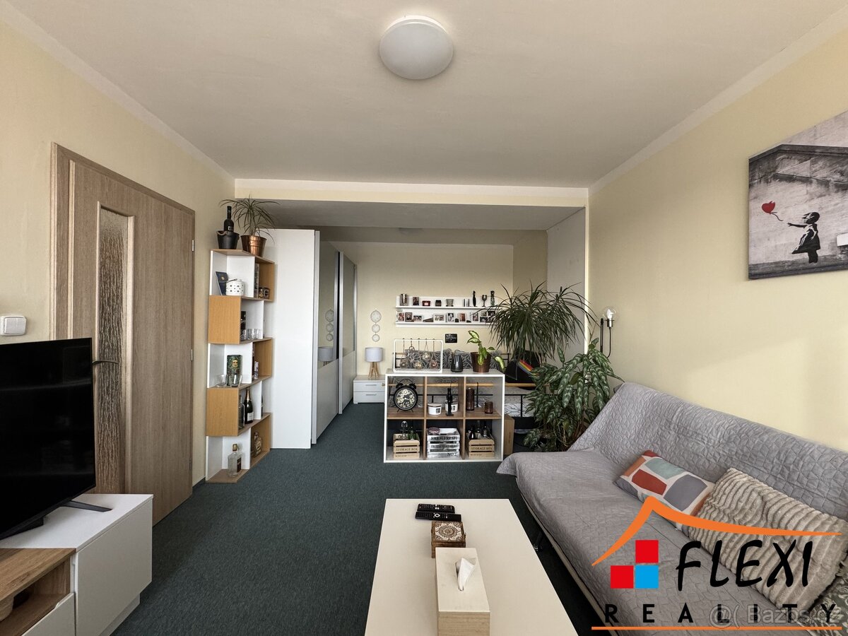 Pronájem částečně zařízeného bytu 1+1 s lodžií, 48m², Moravs - 2