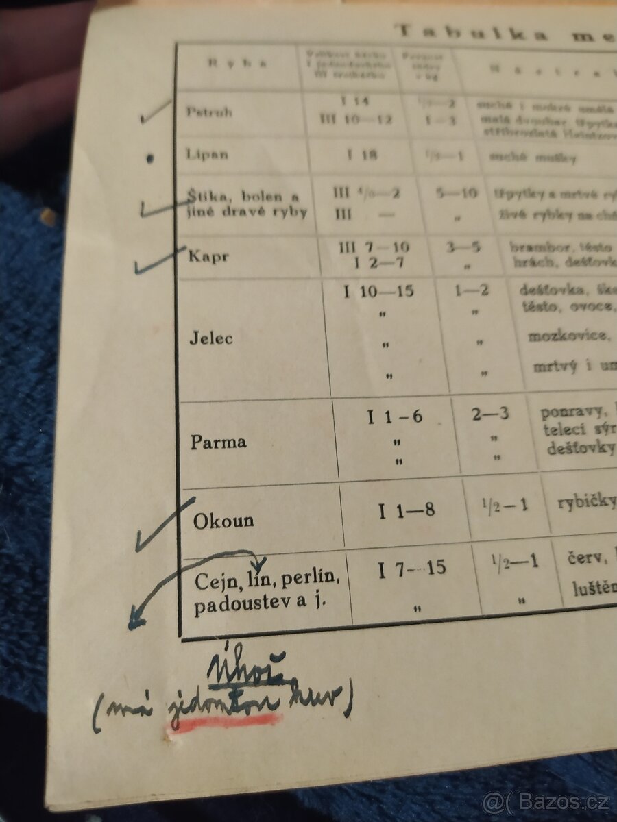 Chytání udicí a úprava ryb (Bardoun) - 2