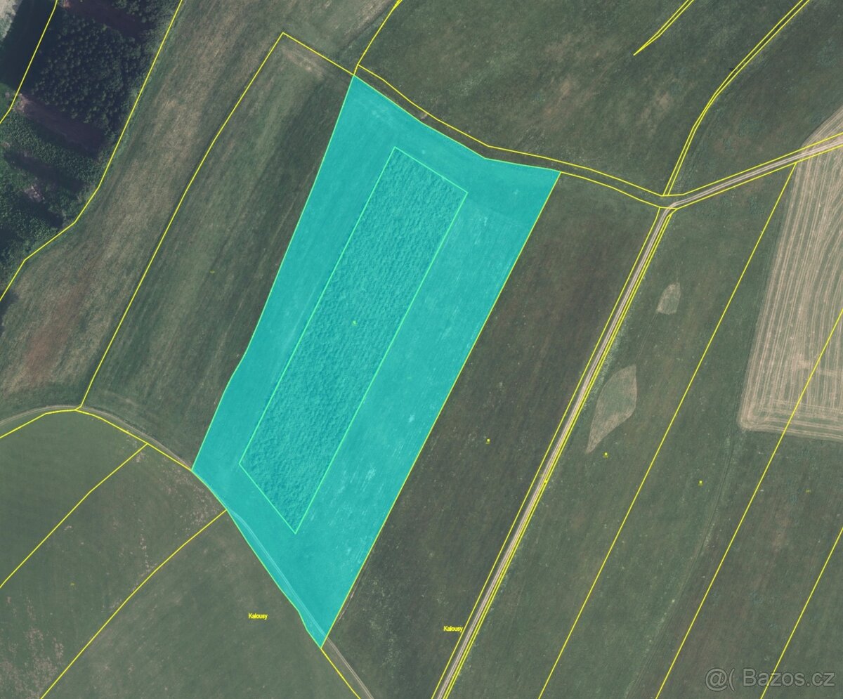 Prodej louky v Adršpachu - 2