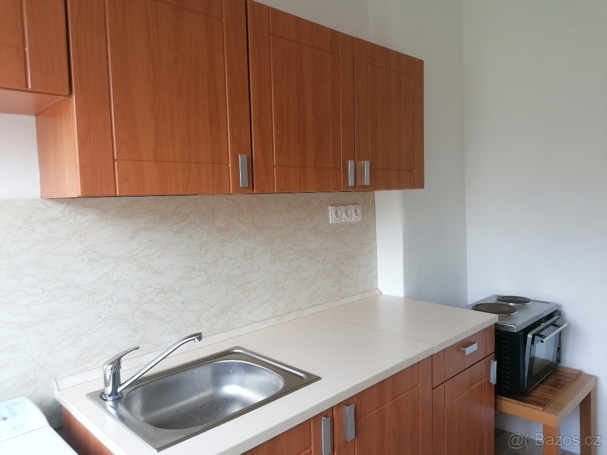 Pronájem bytu 2+1 - Bydlení pro studenty - 2