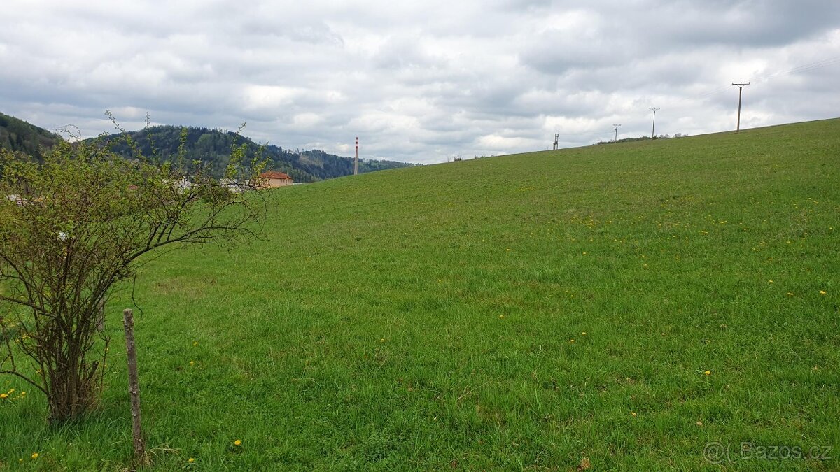 Podíl na 11 ha louky Moravská Chrastová, Svitavy - 2