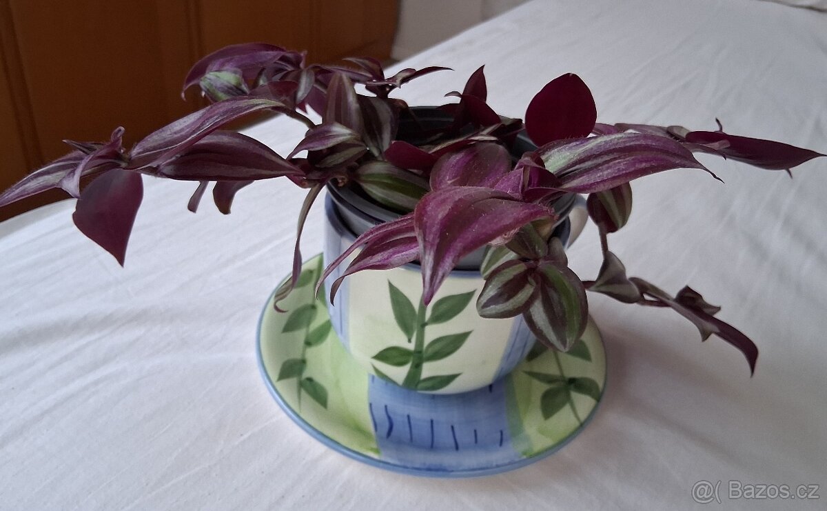 Květina v aranži. - 2