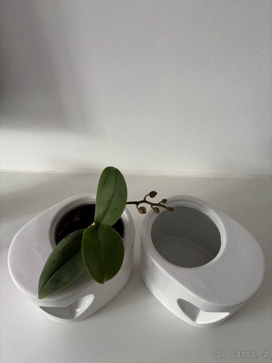 Keramický květináč srdíčko 2 kusy - 2