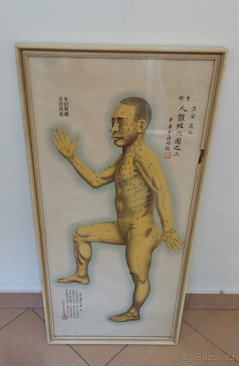 Obraz akupunkturní mapa těla - Čína 1955 - 2