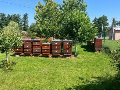 Včelí oddělky jaro 2026 RM39x24 - 2