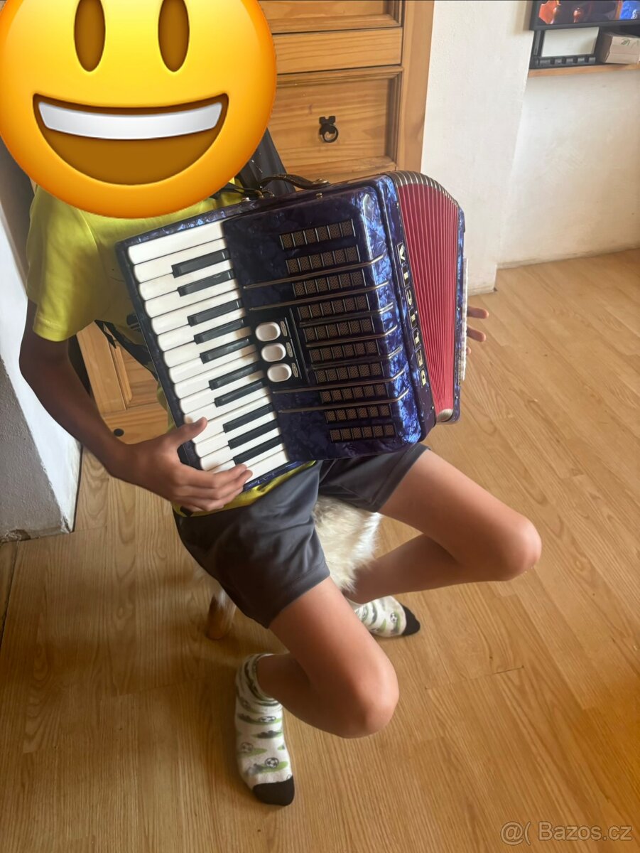 Akordeon Delicia Junior IV - 2